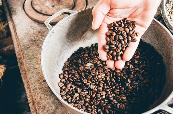najlepsza kawa ziarnista - arabica czy robusta?