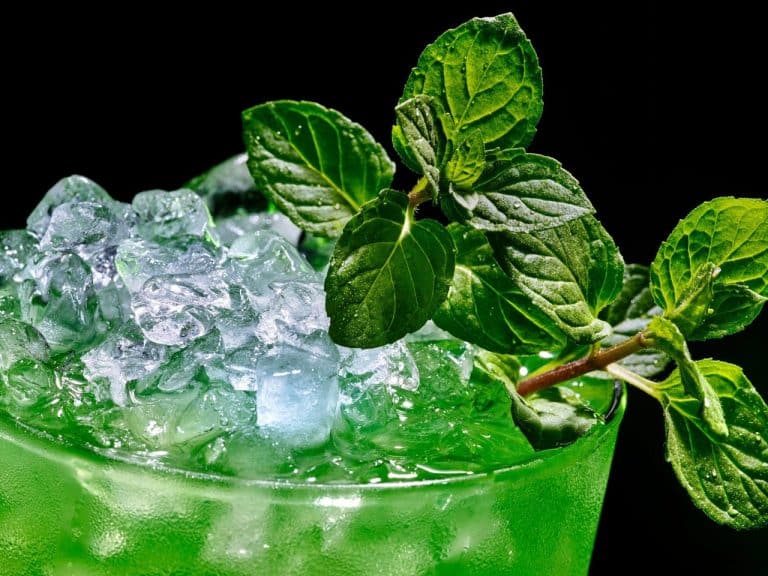 Zielony napój w szklance z kruszonym lodem i listkami świeżej mięty