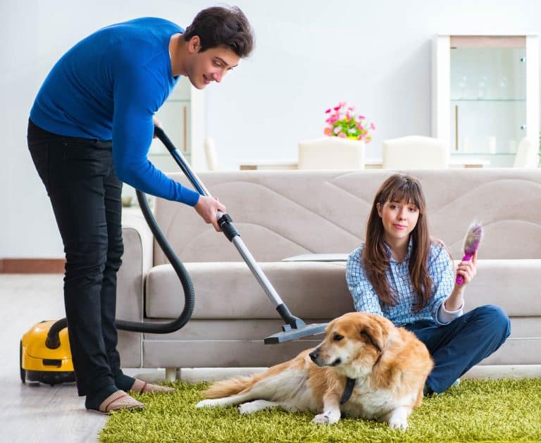Skuteczny i funkcjonalny odkurzacz do sierści – jak zadbać o czystość mając w domu czworonoga?