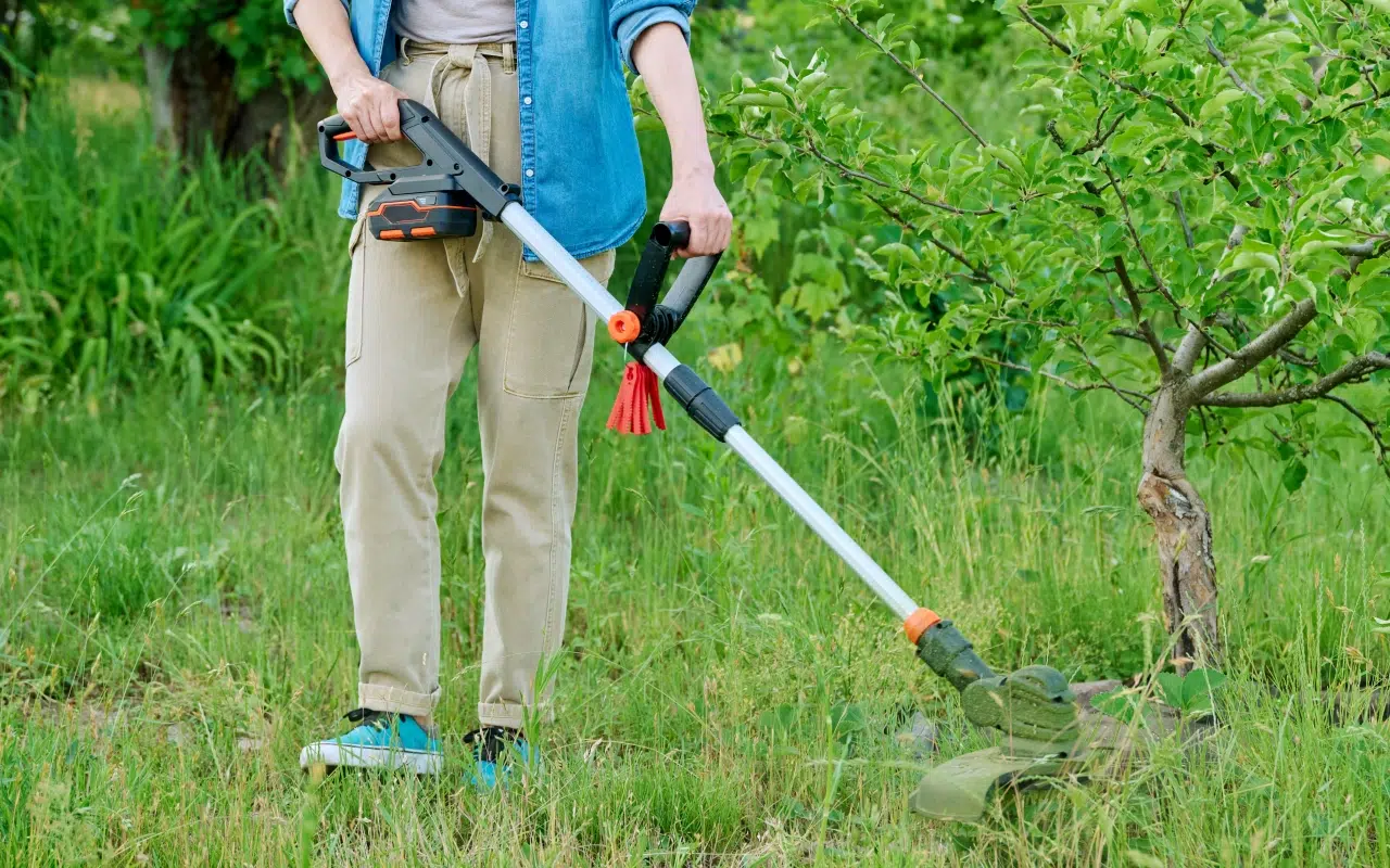 kobieta kosi trawę akumulatorową podkaszarką do trawy