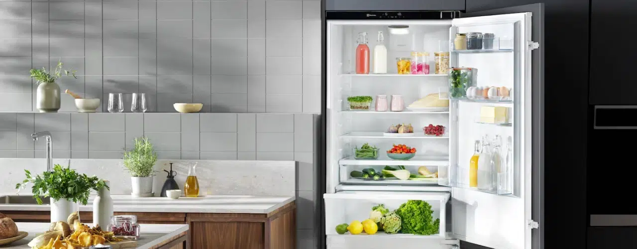 lodówka Electrolux Genesi