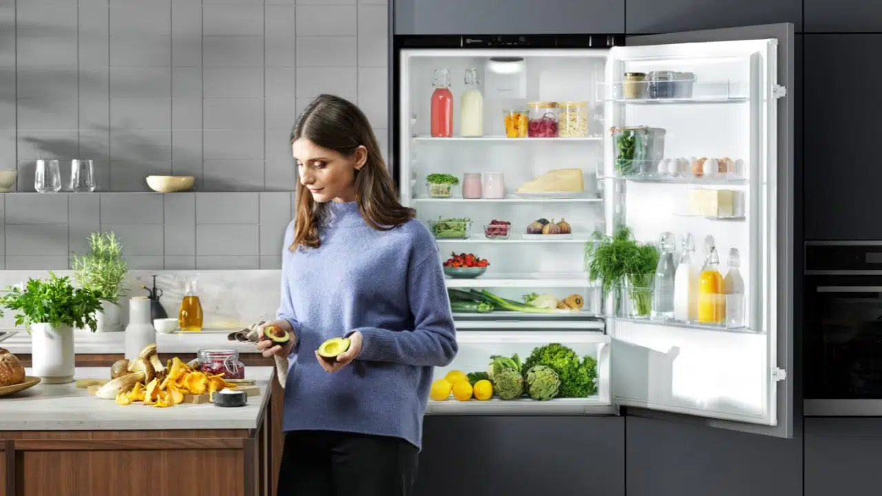 lodówka Electrolux Genesi