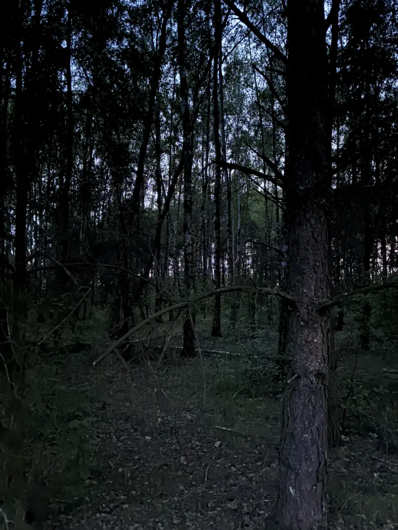 Zdjęcie wykonane iPhone 16e