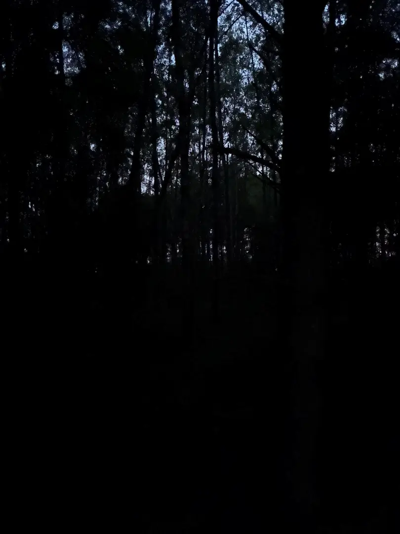 iPhone 16e 5G 128 GB – Recenzja 2025 9